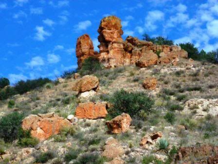 Mr. Moose, packgoat - Goats