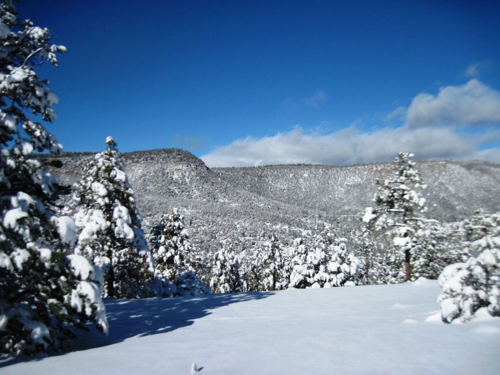 Show your pics of the storm here. Love snow pics - Goats