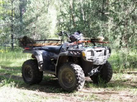 Ratbike rampage - let's see yer stock chaser - Homesteading Questions