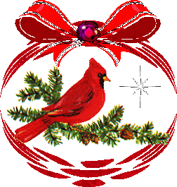 1-1.gif red cardinal wrapped image by tammy_61