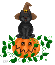 halloween w/cat and pumpkin Pictures, Images and Photos