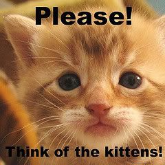 HELP KITTENS Pictures, Images and Photos