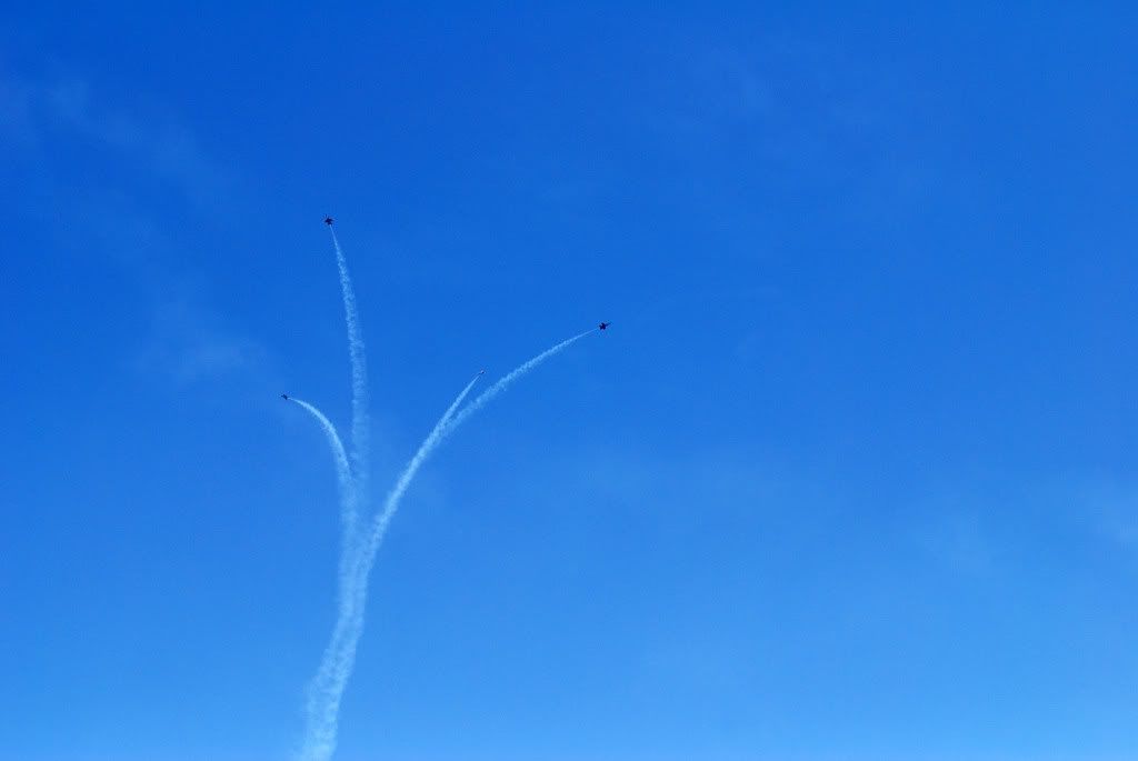 Airshow42.jpg picture by pinespring