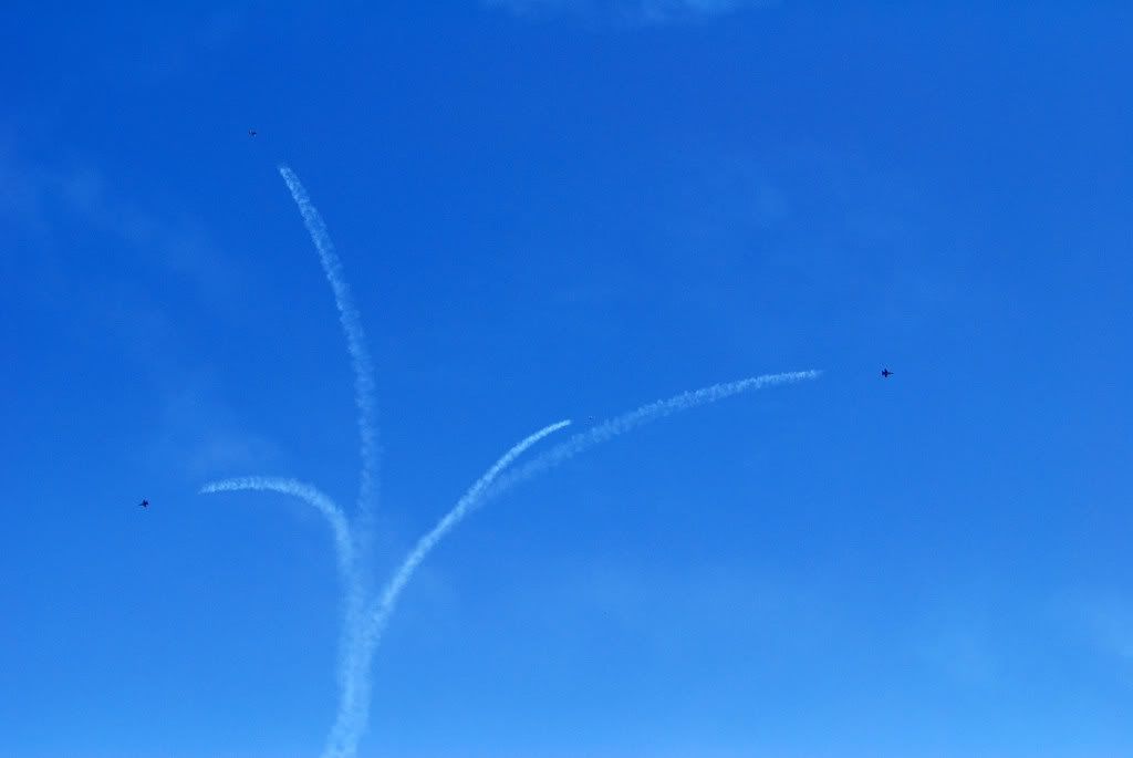 Airshow43.jpg picture by pinespring
