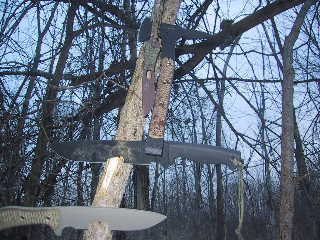 [Linked Image from i234.photobucket.com]