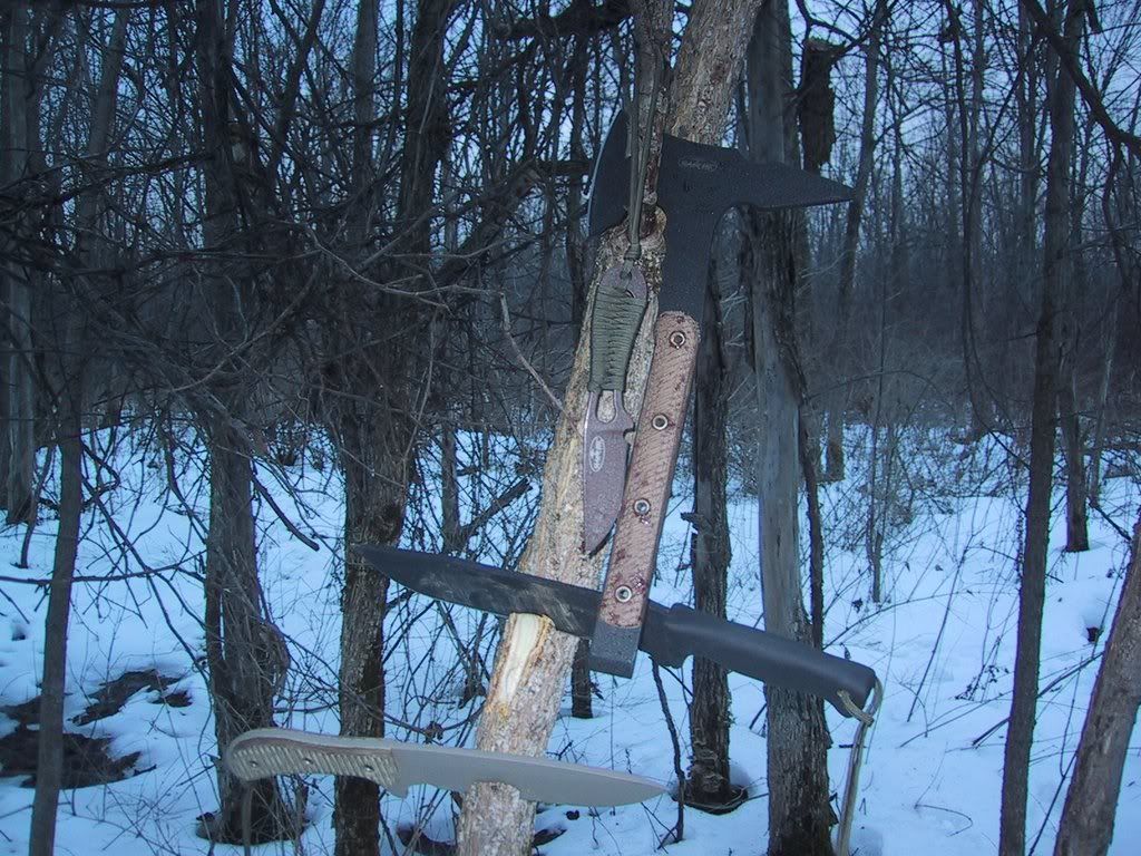 [Linked Image from i234.photobucket.com]