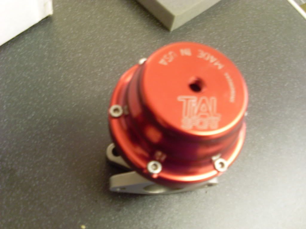SL371010.jpg