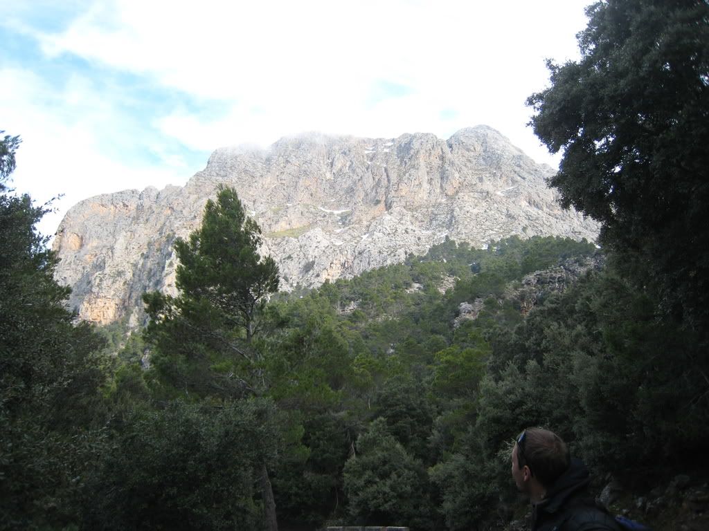 migdia387.jpg