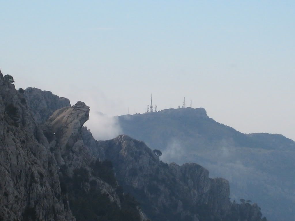 migdia391.jpg