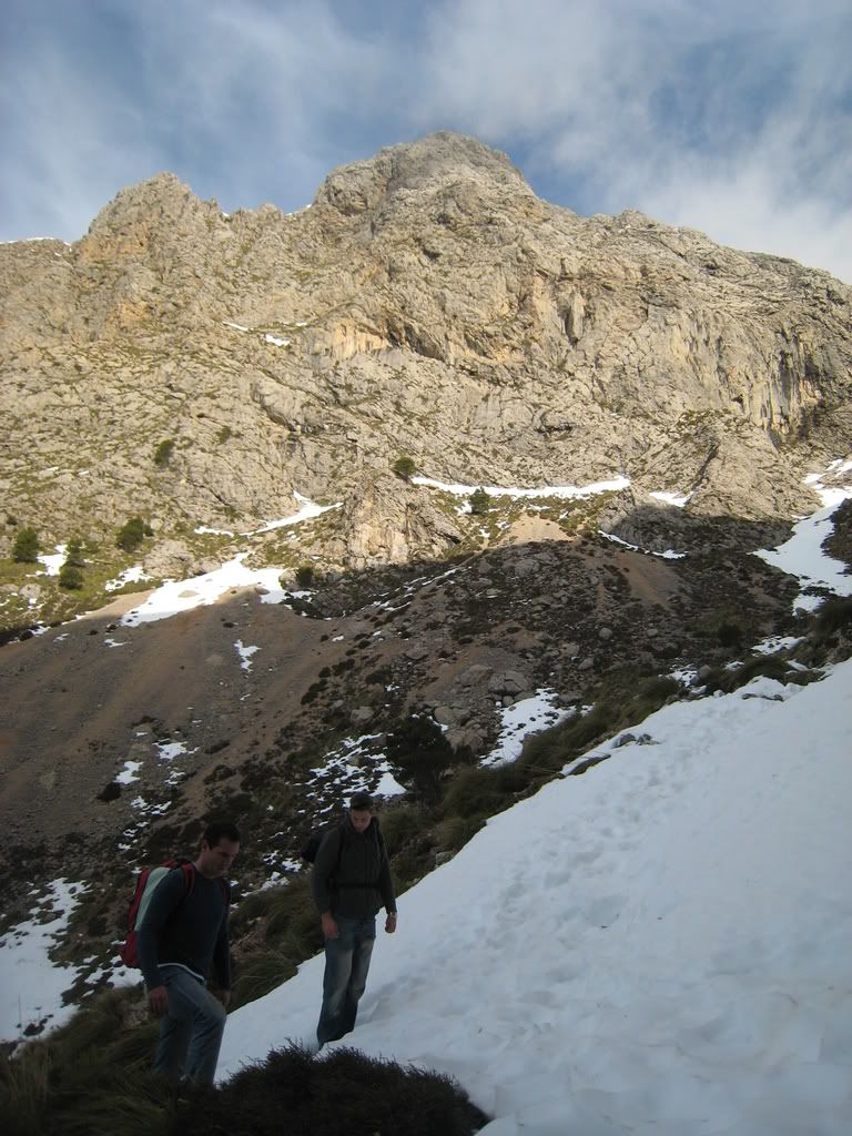 migdia394.jpg