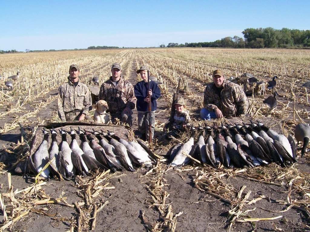 ND Early Season Canada Goose Hunting Forum