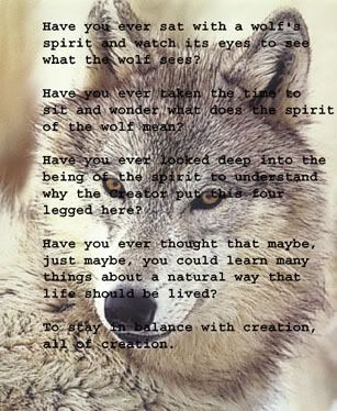 wolf poem