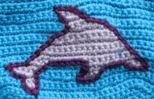Dolphin Capris