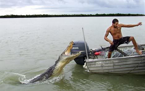 croc.jpg