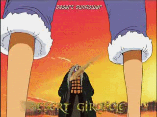 desertgirasole.gif