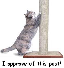 Cat approves of post Pictures, Images and Photos