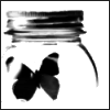 Photo Sharing
and Video Hosting at Photobucket