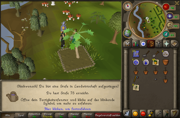 Eingefügtes Bild