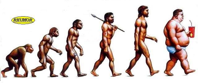 evolucion del hombre. LA EVOLUCION DEL HOMBRE!
