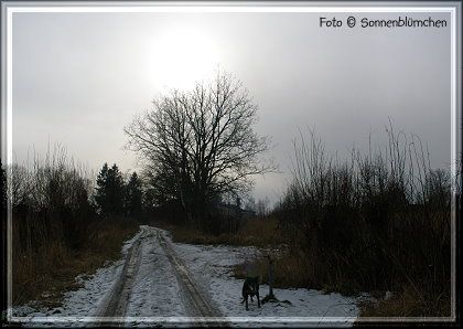 blick der woche # 2 a photo blickderwoche2a_zps599274fa.jpg