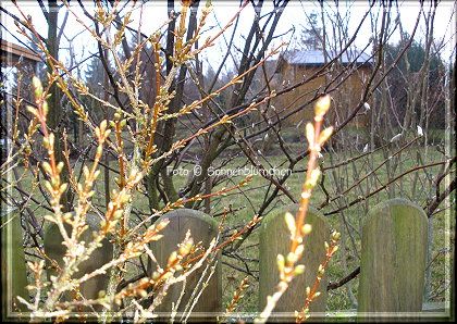 photo blickderwoche5c_zps6f74bccc.jpg