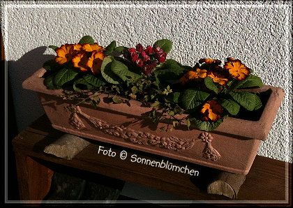 photo blickderwoche9_zpsc764e813.jpg