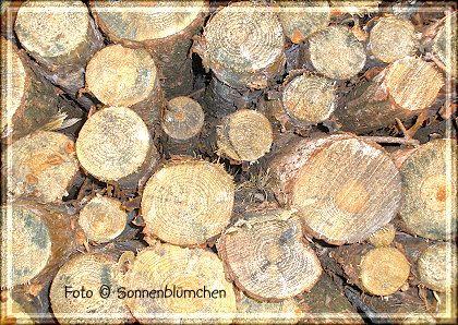 photo holz1_zps23f5bd73.jpg