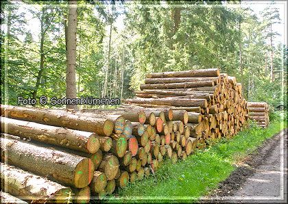 photo holz2_zpsb7dbd6d5.jpg
