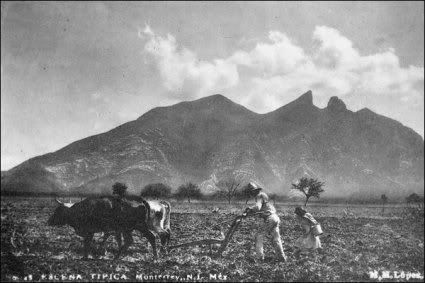 1-107.jpg