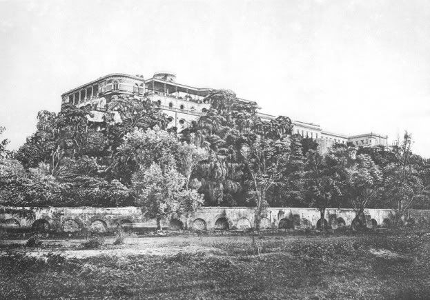 11-8.jpg