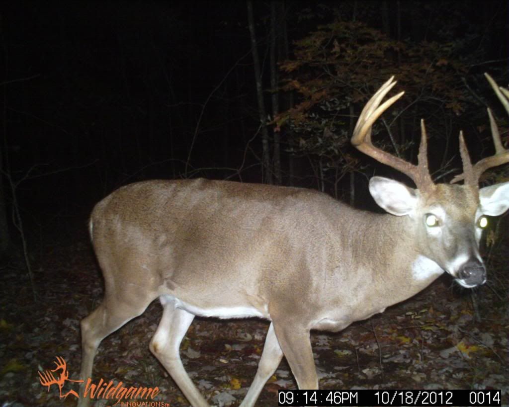 trailcam014.jpg