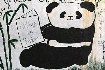 Panda says to stay in school!
