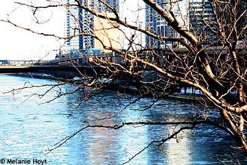 Chicago River