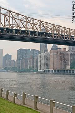Queensboro Bridge & Manhattan