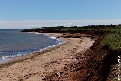 PEI beach