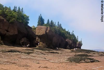 Hopewell Rocks