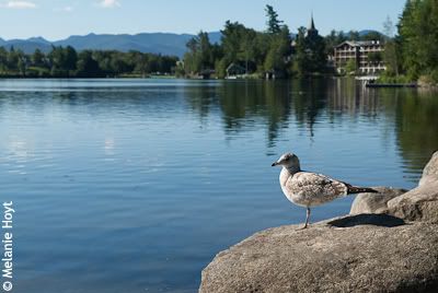 Mirror Lake