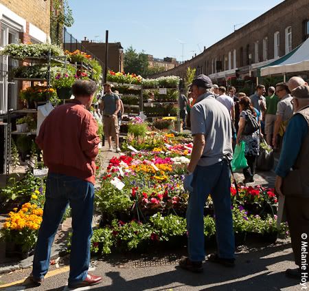 Columbia Road