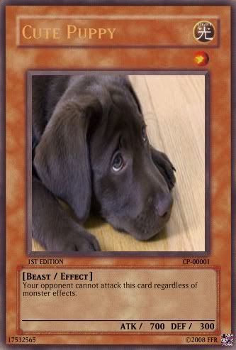 cutepuppy.jpg