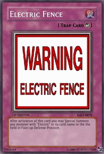 elecfence.jpg