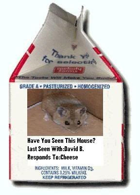 mousecarton.jpg