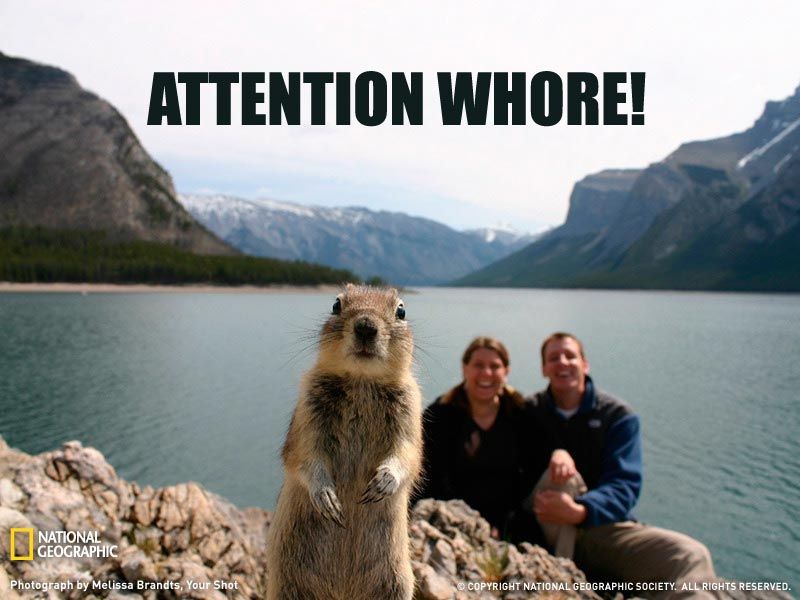AttentionWhoreSquirrel.jpg