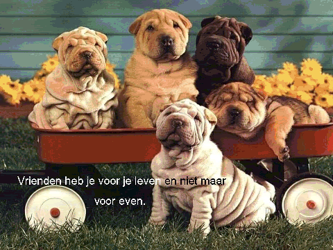 vrienden11nu7.gif picture by musti444
