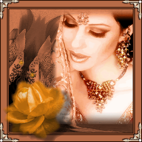 ������ ���� ������ �� ���� ������