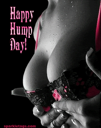 HumpDay Pictures, Images and Photos