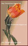 cross stitch MAH011 Tulip #1 - click to view