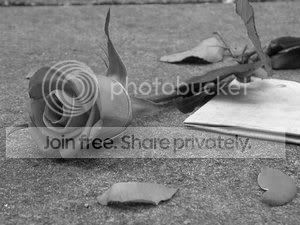 *~Broken Hearts*~ banner