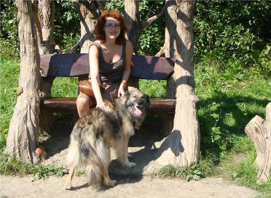 photo DSC07452_zps9569c4e7.jpg