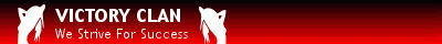VICTORY_CLAN™ banner