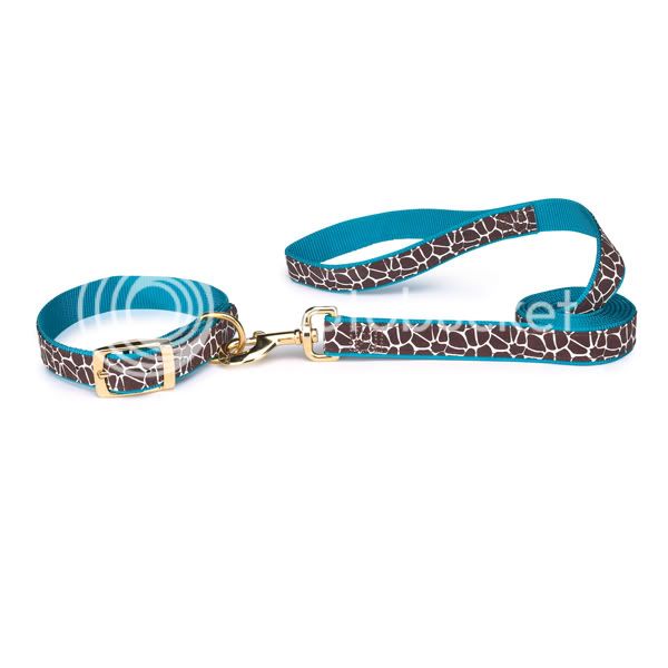 11 Small Zack & Zoey ANIMAL PRINT Dog Collars NWT S  